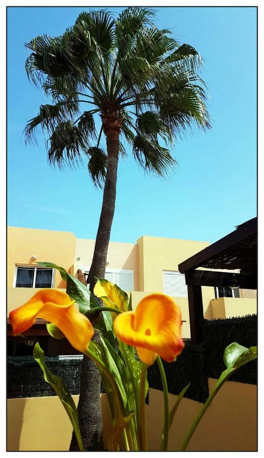 Lur De La Playa Apartment Corralejo Luaran gambar