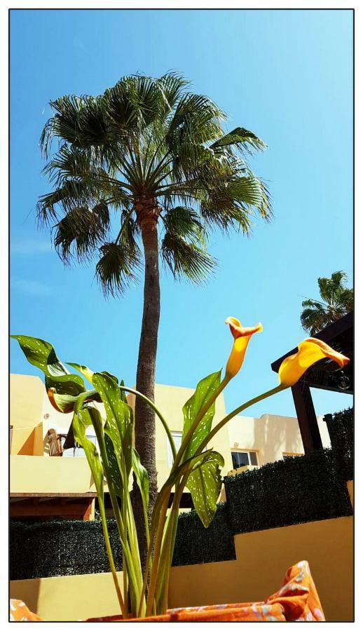 Lur De La Playa Apartment Corralejo Luaran gambar
